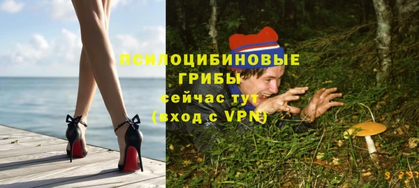 СК Алексеевка