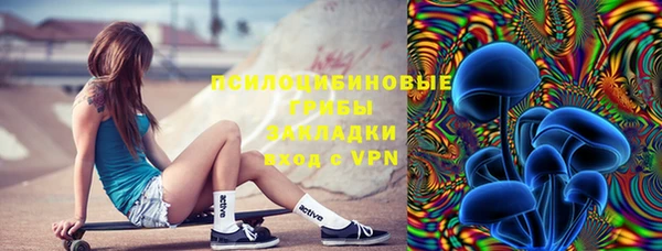 СК Алексеевка