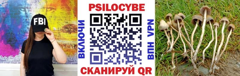 OMG ССЫЛКА  Липки  сайты даркнета телеграм  Галлюциногенные грибы MAGIC MUSHROOMS 